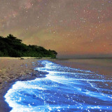 7 Wallpapers In Sea Of Stars Wallpapers