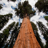 8 Wallpapers In Sequoia National Park Wallpapers