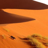 7 Wallpapers In Sossusvlei Wallpapers