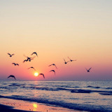 13 Wallpapers In Sunset Beach Wallpapers