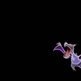 8 Wallpapers In Aerodactyl HD Wallpapers