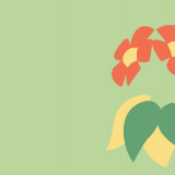 3 Wallpapers In Bellossom HD Wallpapers