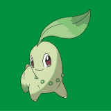 8 Wallpapers In Chikorita HD Wallpapers