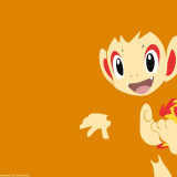 1 Wallpapers In Chimchar HD Wallpapers