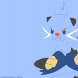 5 Wallpapers In Dewott HD Wallpapers