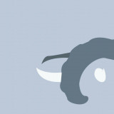 4 Wallpapers In Donphan HD Wallpapers