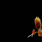 7 Wallpapers In Fearow HD Wallpapers
