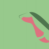 4 Wallpapers In Grovyle HD Wallpapers