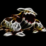 8 Wallpapers In Heatran HD Wallpapers