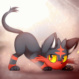 4 Wallpapers In Litten HD Wallpapers