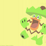 5 Wallpapers In Ludicolo HD Wallpapers