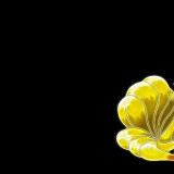 3 Wallpapers In Ninetales HD Wallpapers