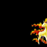 5 Wallpapers In Rapidash HD Wallpapers