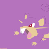 3 Wallpapers In Rattata HD Wallpapers