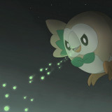 6 Wallpapers In Rowlet HD Wallpapers