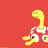 8 Wallpapers In Shuckle HD Wallpapers