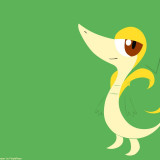 4 Wallpapers In Snivy HD Wallpapers