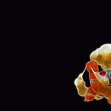 3 Wallpapers In Torkoal HD Wallpapers