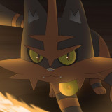 5 Wallpapers In Torracat HD Wallpapers