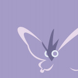 3 Wallpapers In Venomoth HD Wallpapers