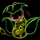 7 Wallpapers In Victreebel HD Wallpapers