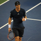 13 Wallpapers In Andy Murray Wallpapers