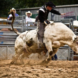 8 Wallpapers In Bull Riding Wallpapers