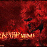 7 Wallpapers In Kane Wallpapers