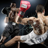 7 Wallpapers In Kickboxing Wallpapers