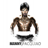 19 Wallpapers In Manny Pacquiao Wallpapers