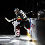 8 Wallpapers In Marc-André Fleury Wallpapers