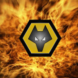 10 Wallpapers In Wolverhampton Wanderers F.C. Wallpapers