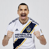 7 Wallpapers In Zlatan Ibrahimovi? LA Galaxy Wallpapers