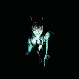 8 Wallpapers In Catwoman Wallpapers