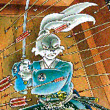 8 Wallpapers In Miyamoto Usagi Wallpapers