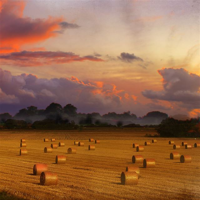 4 Wallpapers In harvest Wallpapers For iPad Air