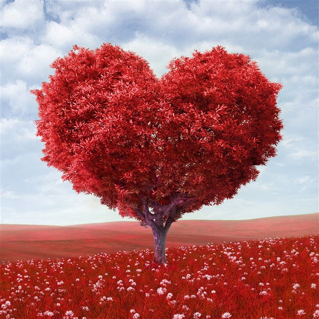 10 Wallpapers In day Wallpapers For iPad Air