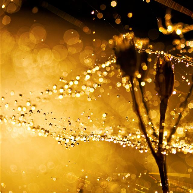 4 Wallpapers In web Wallpapers For iPad Air