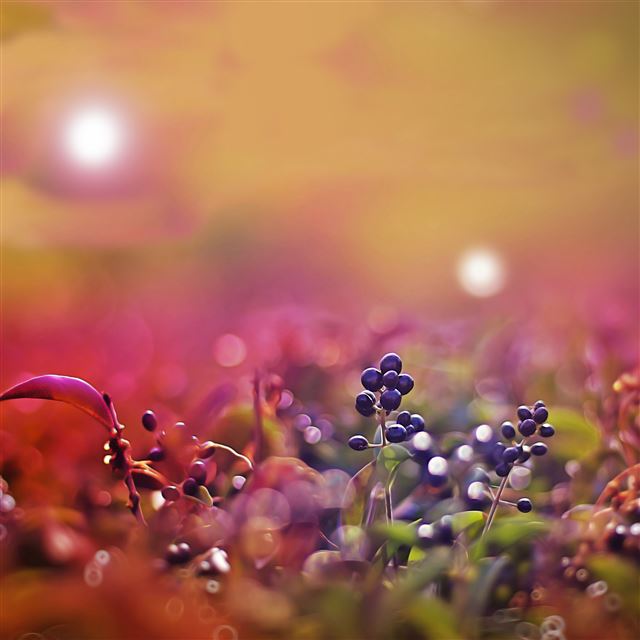 11 Wallpapers In fuzzy Wallpapers For iPad Air