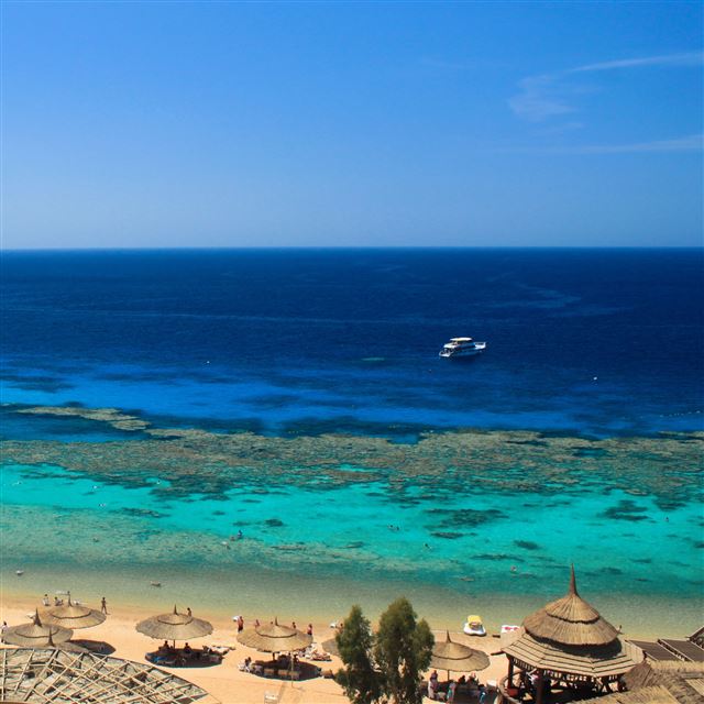 5 Wallpapers In reef Wallpapers For iPad Air