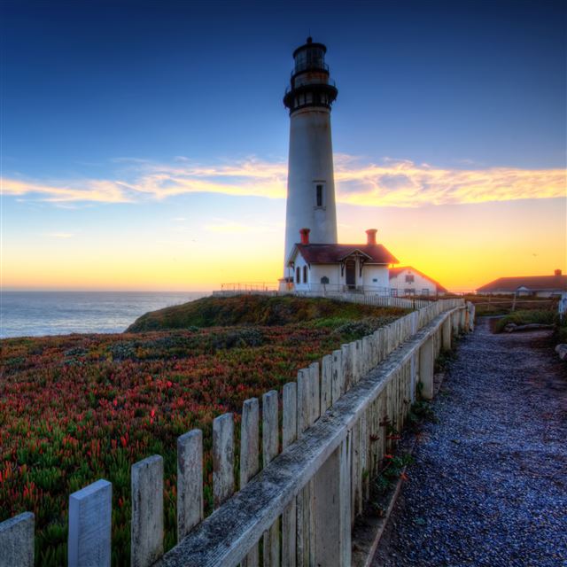 2 Wallpapers In pigeon Wallpapers For iPad Air