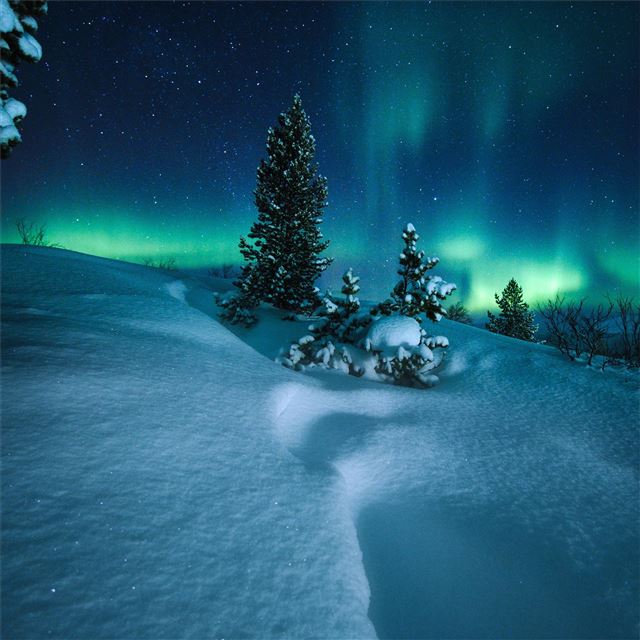 2048x2048 northern lights arctic circle norway - northern lights iPad Air Wallpaper