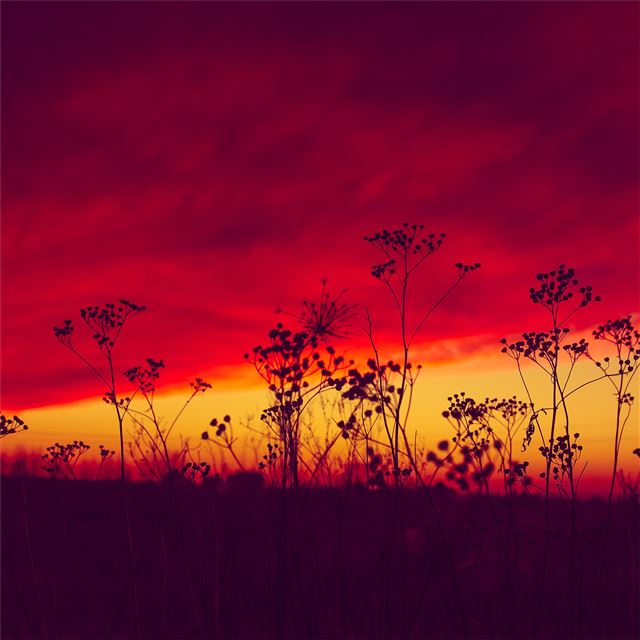 2048x2048 poland sunset 5k - evening iPad Air Wallpaper