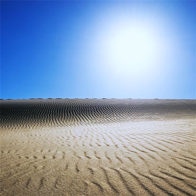 2048x2048 sahara desert 5k - desert iPad Air Wallpaper