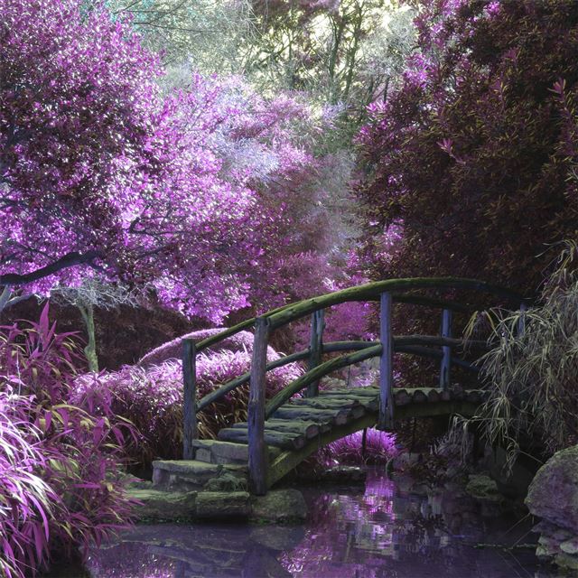 2048x2048 magical garden 5k - 5k iPad Air Wallpaper