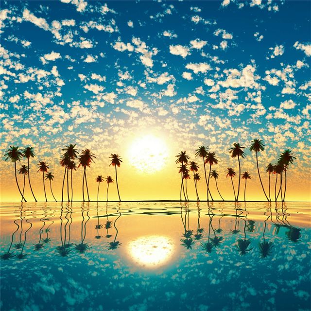 2048x2048 tree horizon sea sunset 4k - sunset iPad Air Wallpaper