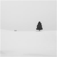 snow tree minimal 5k wallpaper