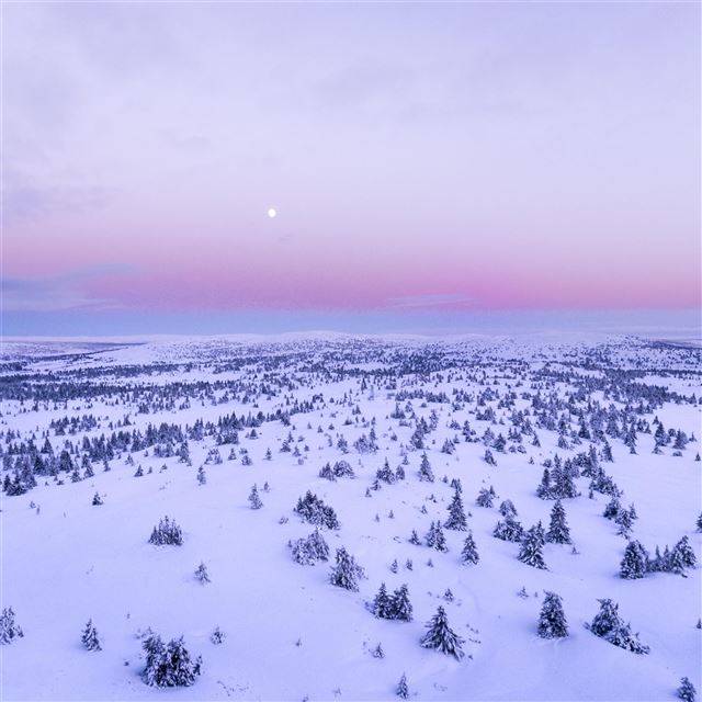2048x2048 snow covered field 4k - field iPad Air Wallpaper