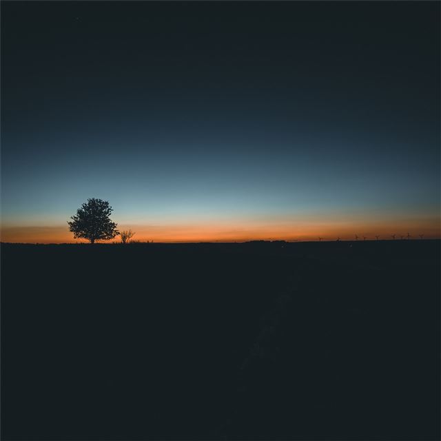 2048x2048 daybreak tree landscape 5k - landscape iPad Air Wallpaper