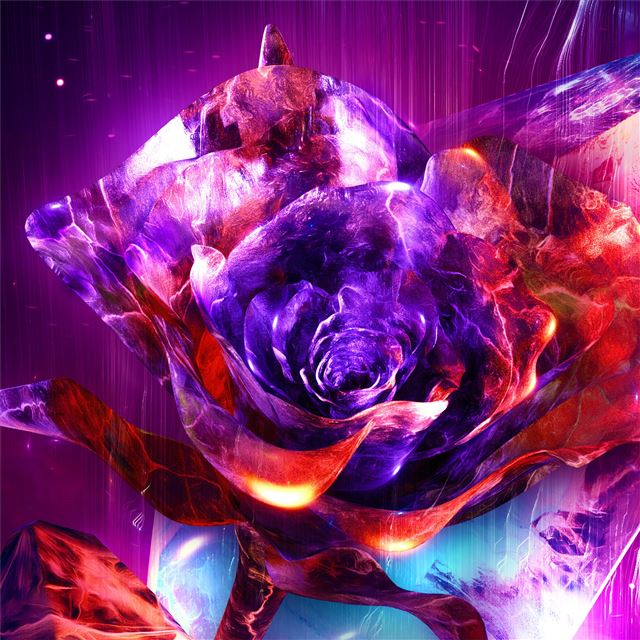 2048x2048 rose abstract 4k - digital art iPad Air Wallpaper